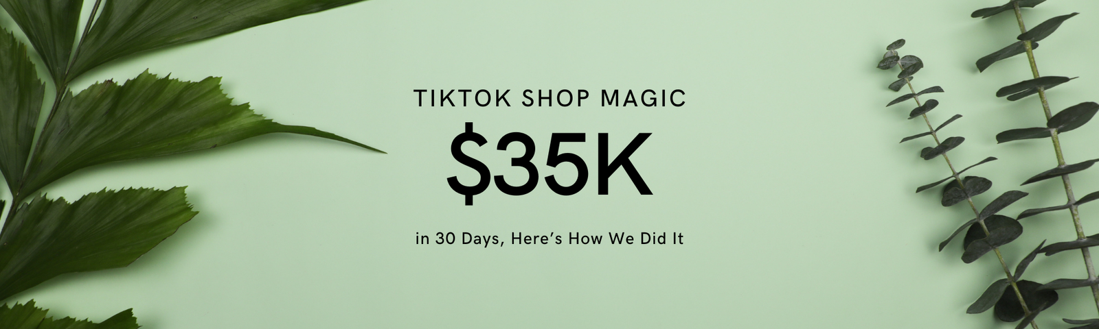 35000$ sales in one month on titkok shop